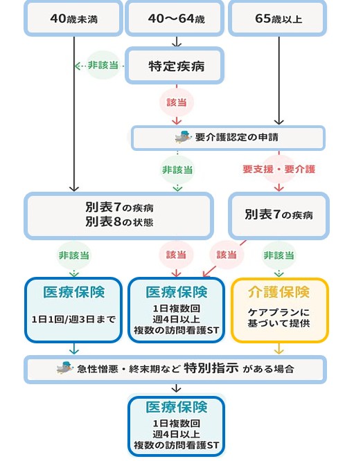 保険区分のフローチャート